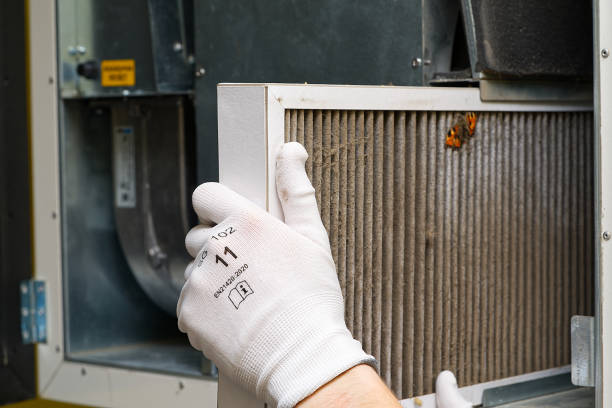 Best Ductwork Cleaning Services  in Grayling, MI
