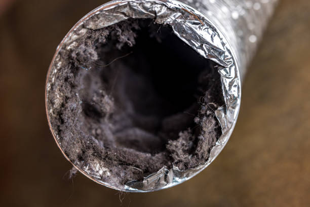 Best Affordable Duct Cleaning Services  in Grayling, MI